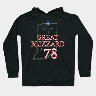 I Survived the Great Blizzard of 78 Hoodie